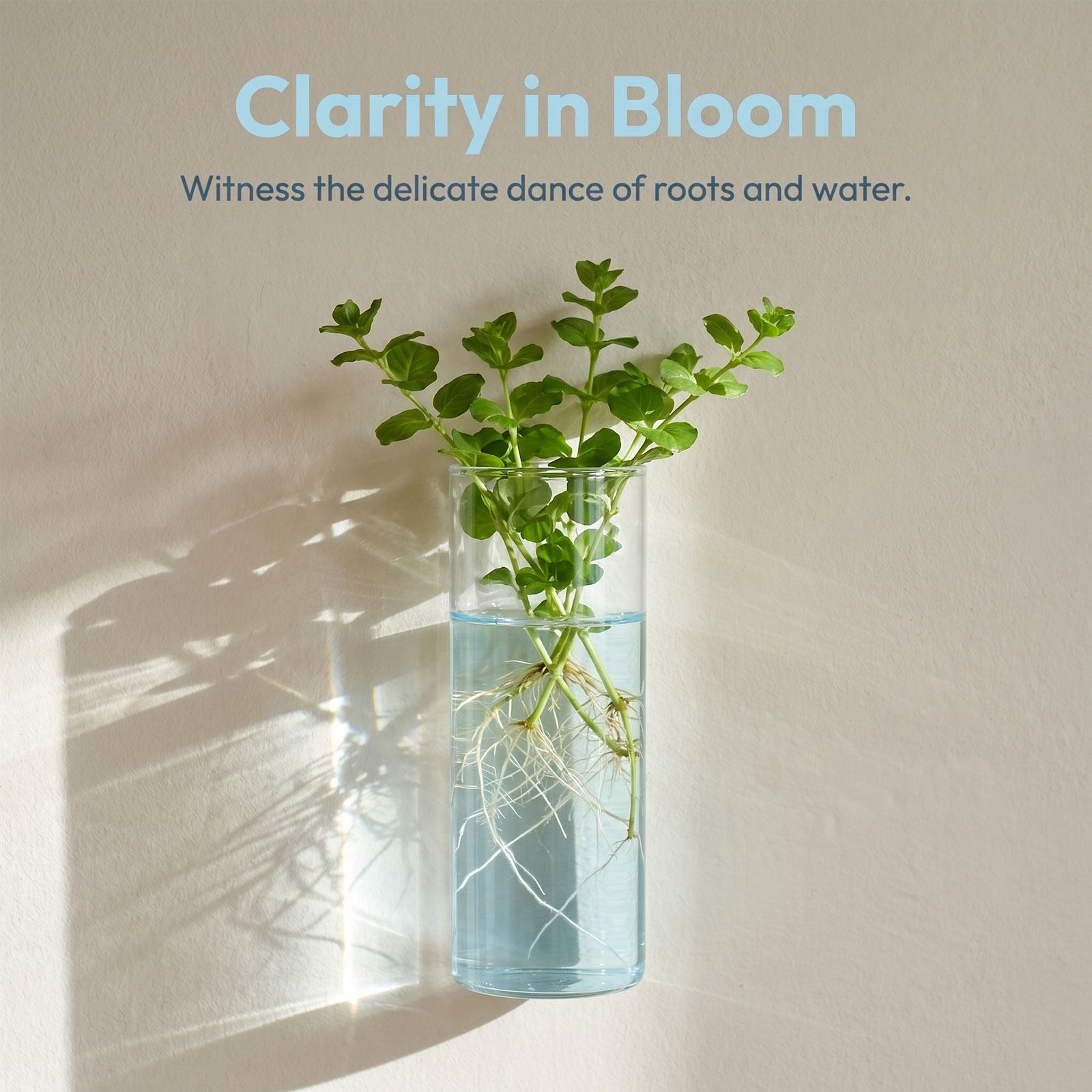 5Pcs Cylinder Glass Wall Vase  - Propagation Station Vase 评论和价格